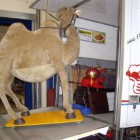 Zelfs een decoratie kameel zal een plek krijgen.