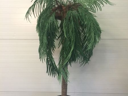 Palmboom huren